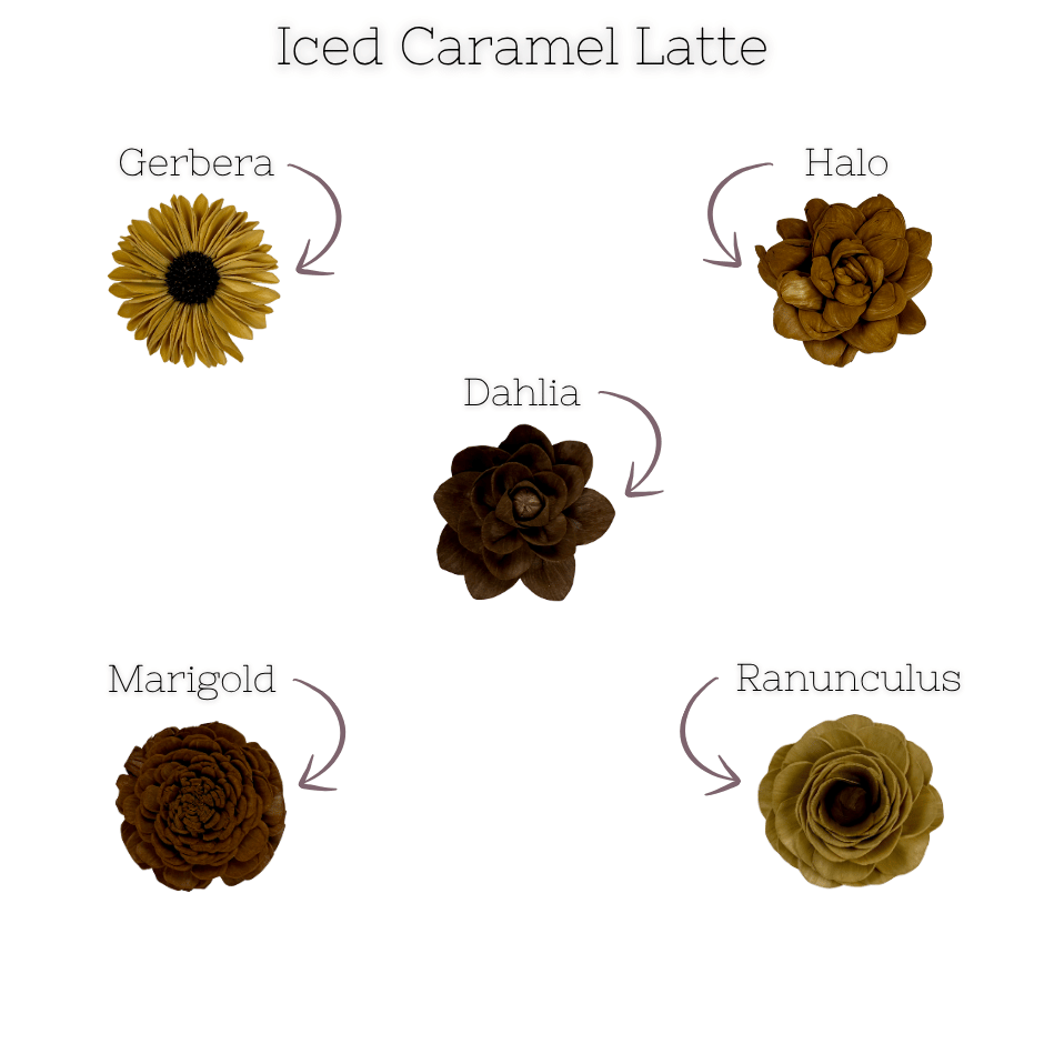 Iced Caramel Latte - dyed sola wood flower assortment