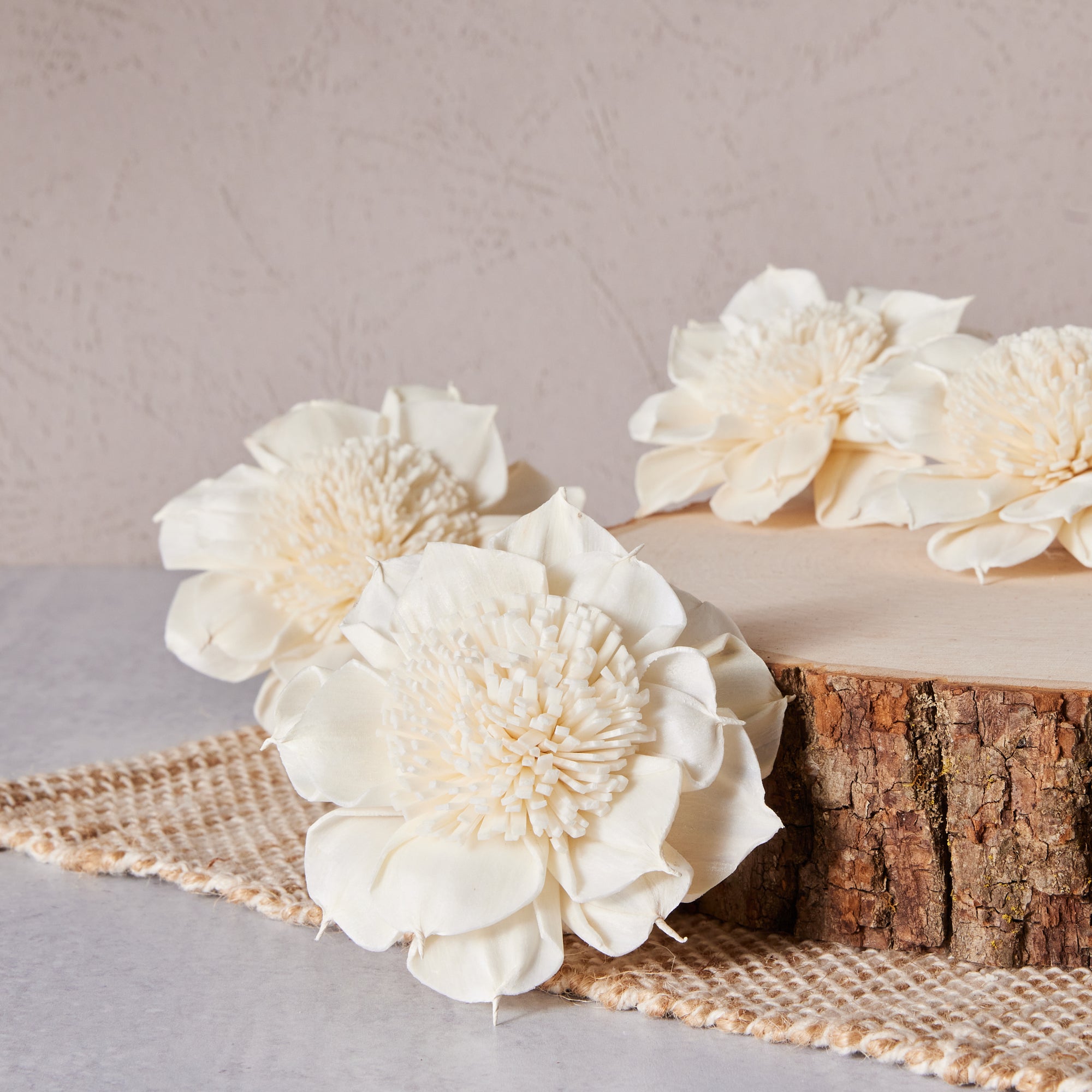 Leo™ Wood Flower | set of 6 | 3 inches