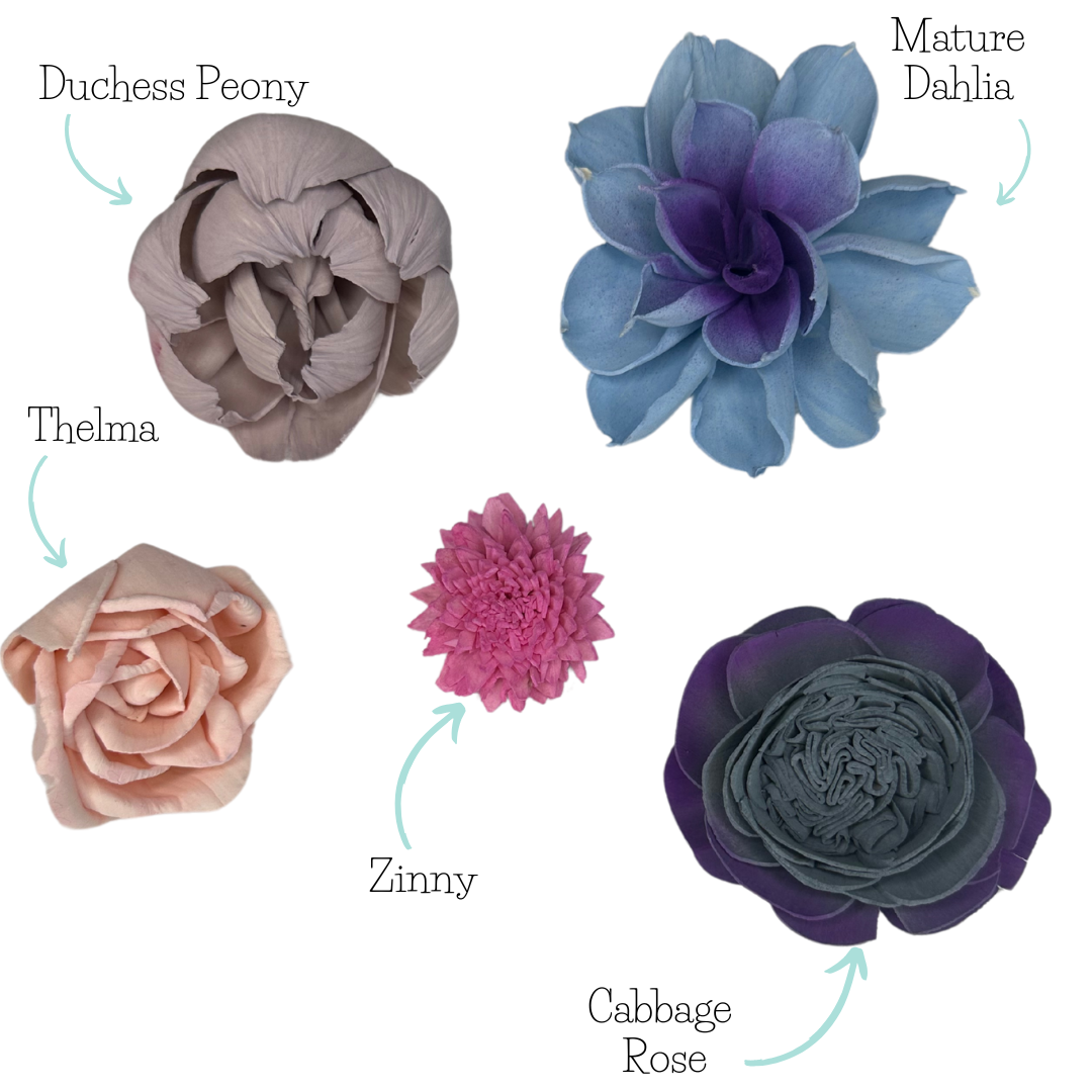 Looking Glass- dyed sola wood flower assortment