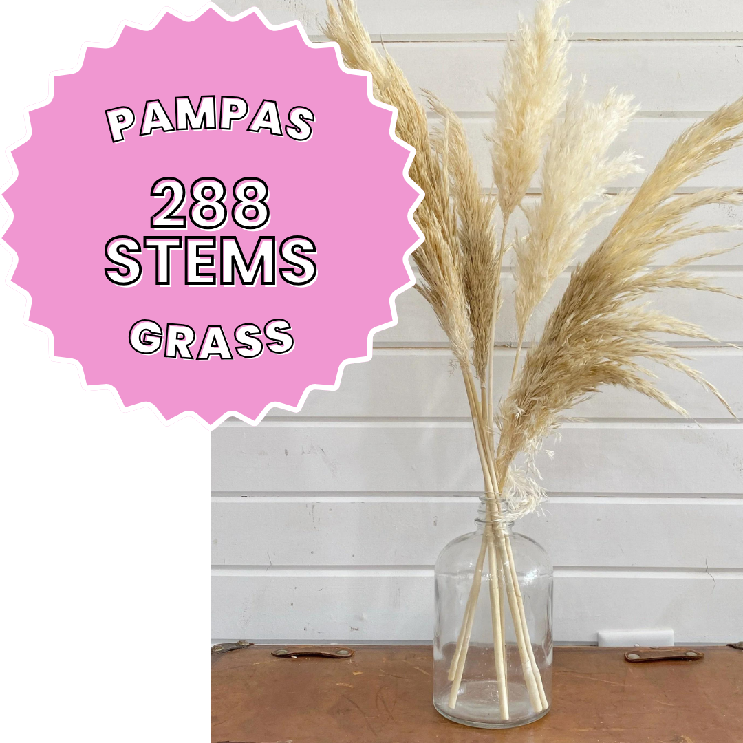 Lot 4701 - Pampas Grass Lot
