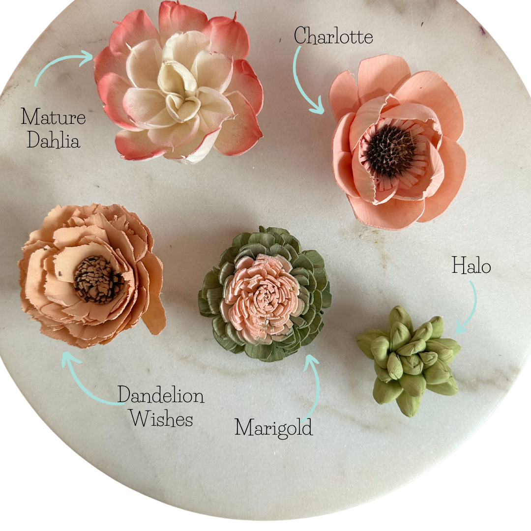 Blooming Succulents- dyed sola wood flower assortment