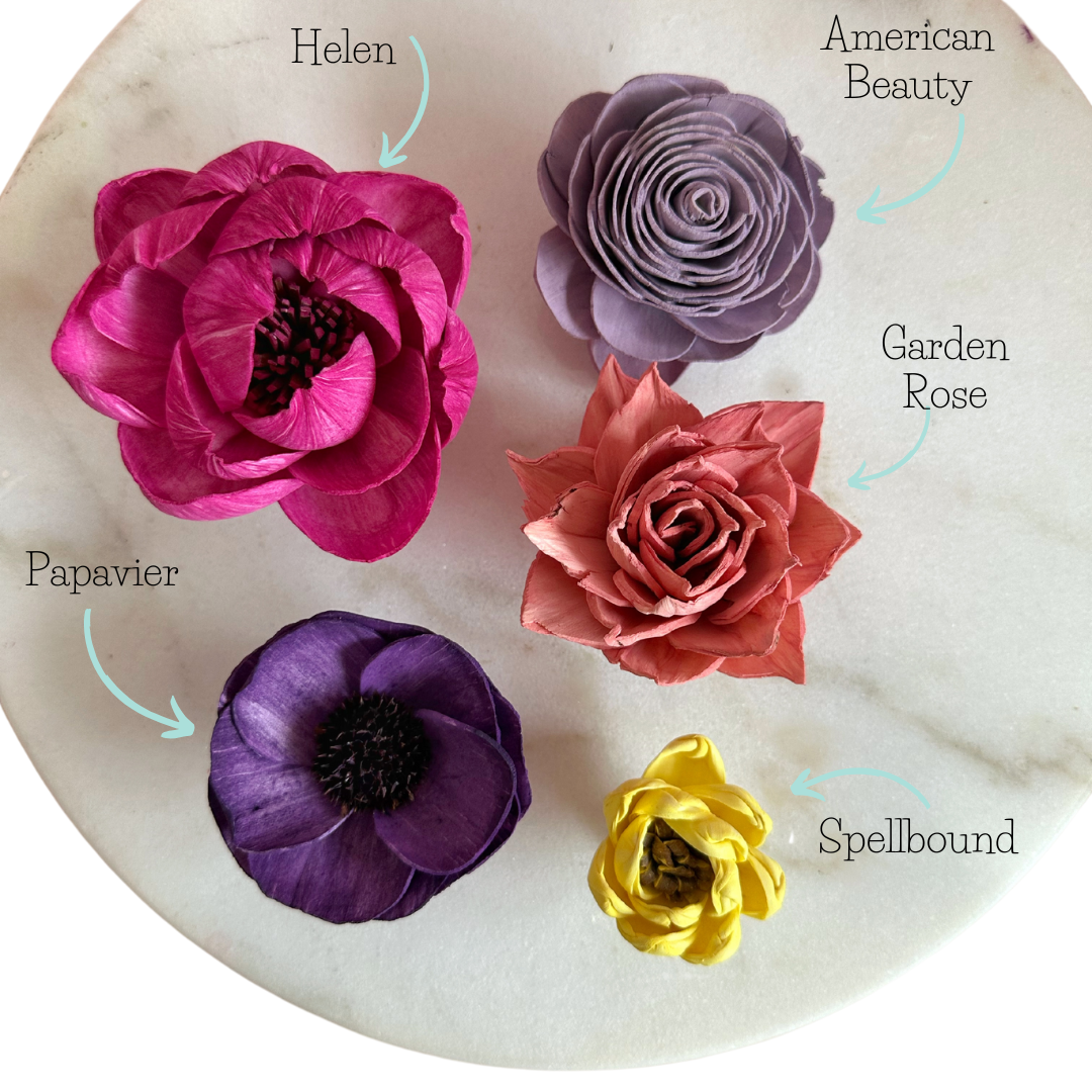 Fiesta- dyed sola wood flower assortment