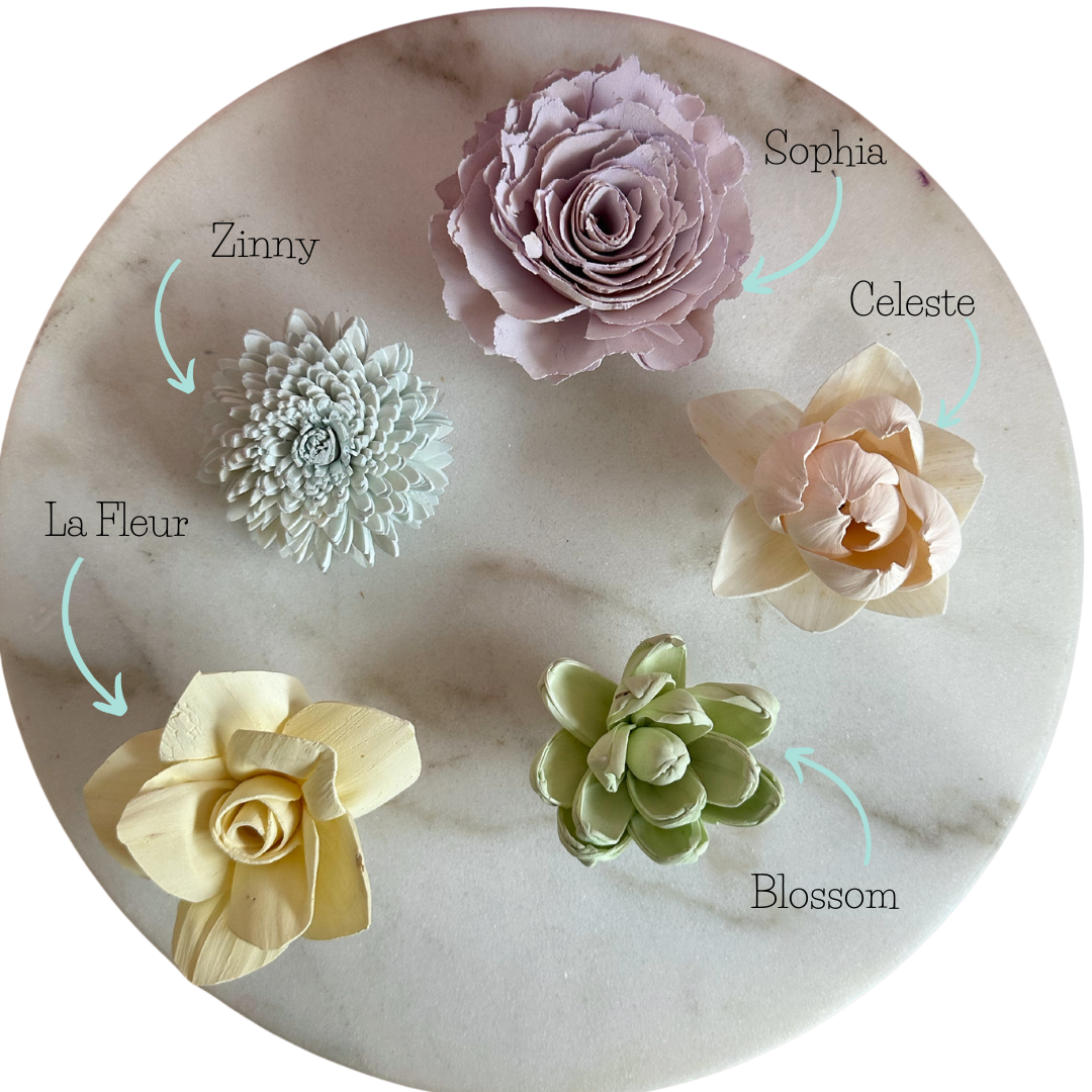 Bunny Hop- dyed sola wood flower assortment