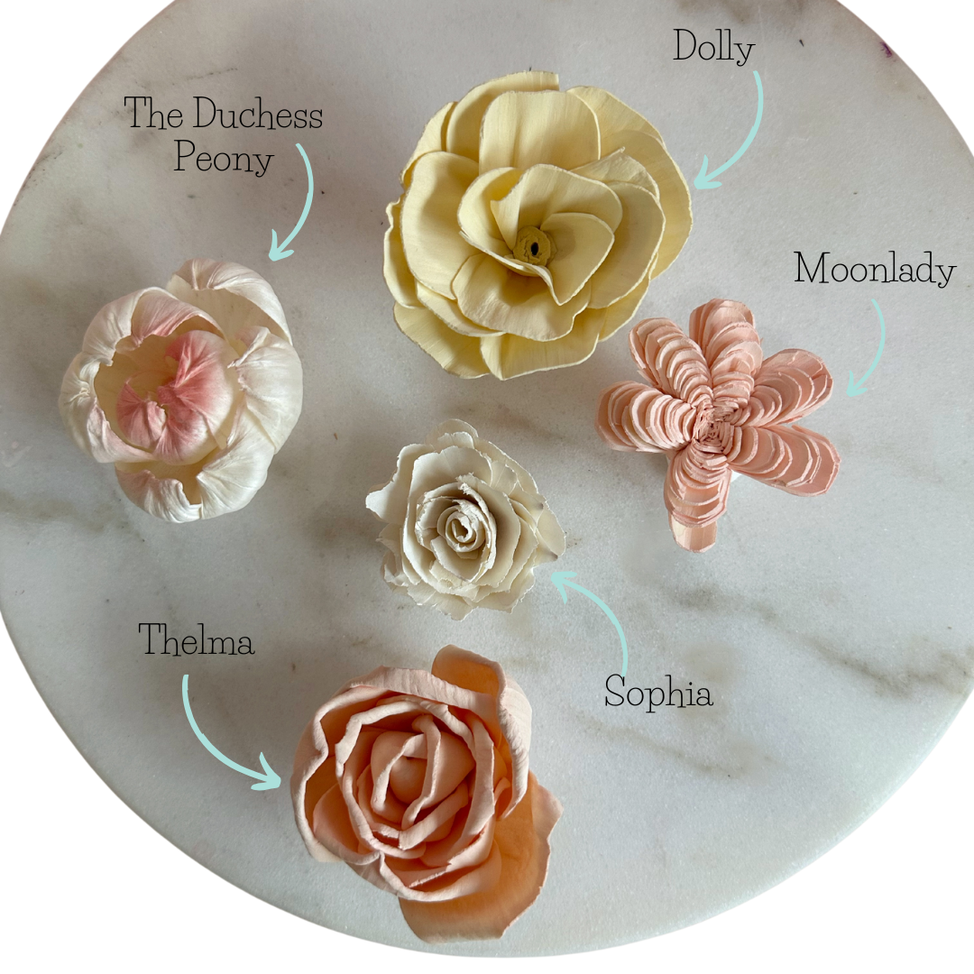 Pastel Lemonade- dyed sola wood flower assortment