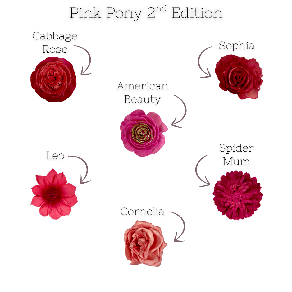 Pink Pony 2nd edition  | Dyed Sola Wood Flower Assortment