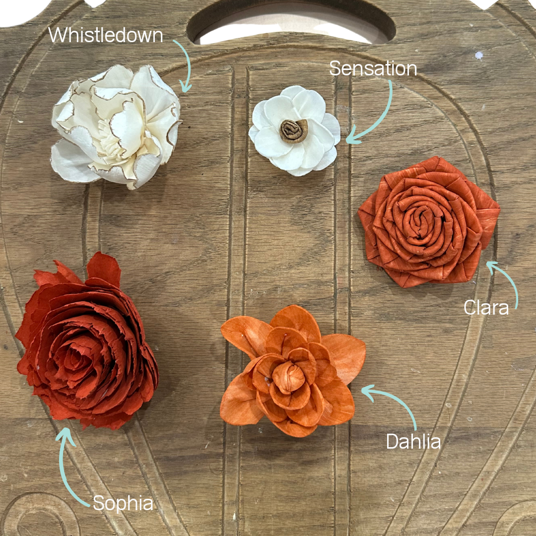 Terracotta Pumpkin Spice | Dyed Sola Wood Flower Assortment
