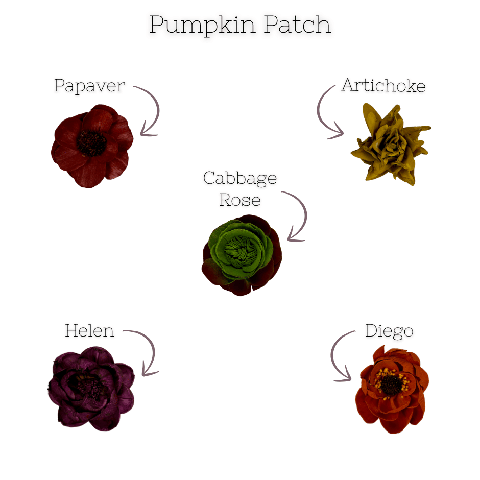 Pumpkin Patch -  dyed sola wood flower assortment