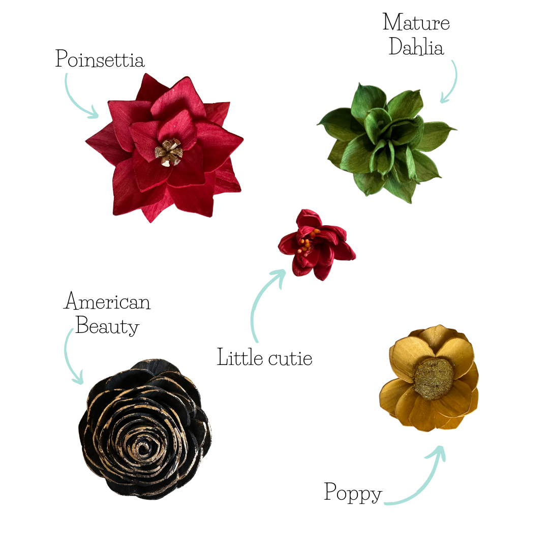 Holiday Crown | Dyed Sola Wood Flower Assortment