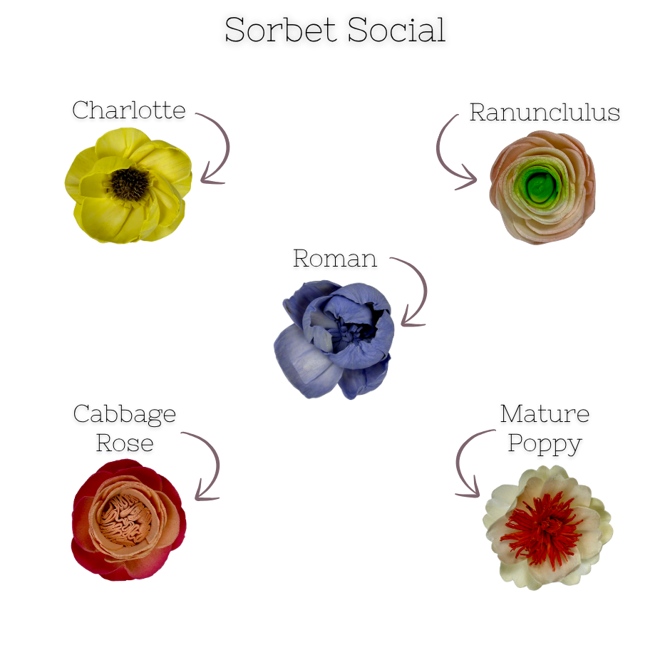Sorbet Social - dyed sola wood flower assortment