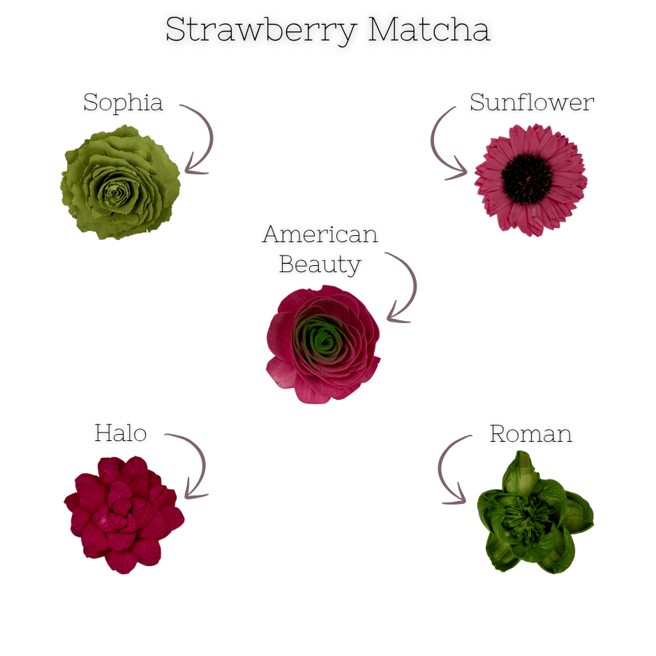 Strawberry Matcha - dyed sola wood flower assortment