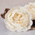 Sugar Baker Rose™ Wood Flower | XL Size | Set of 3