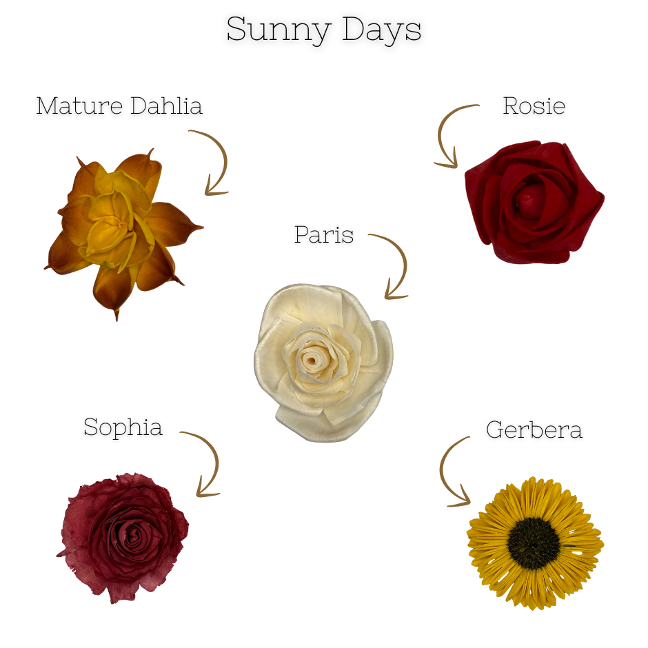 Sunny Days  - Dyed Sola Wood Flower Assortment