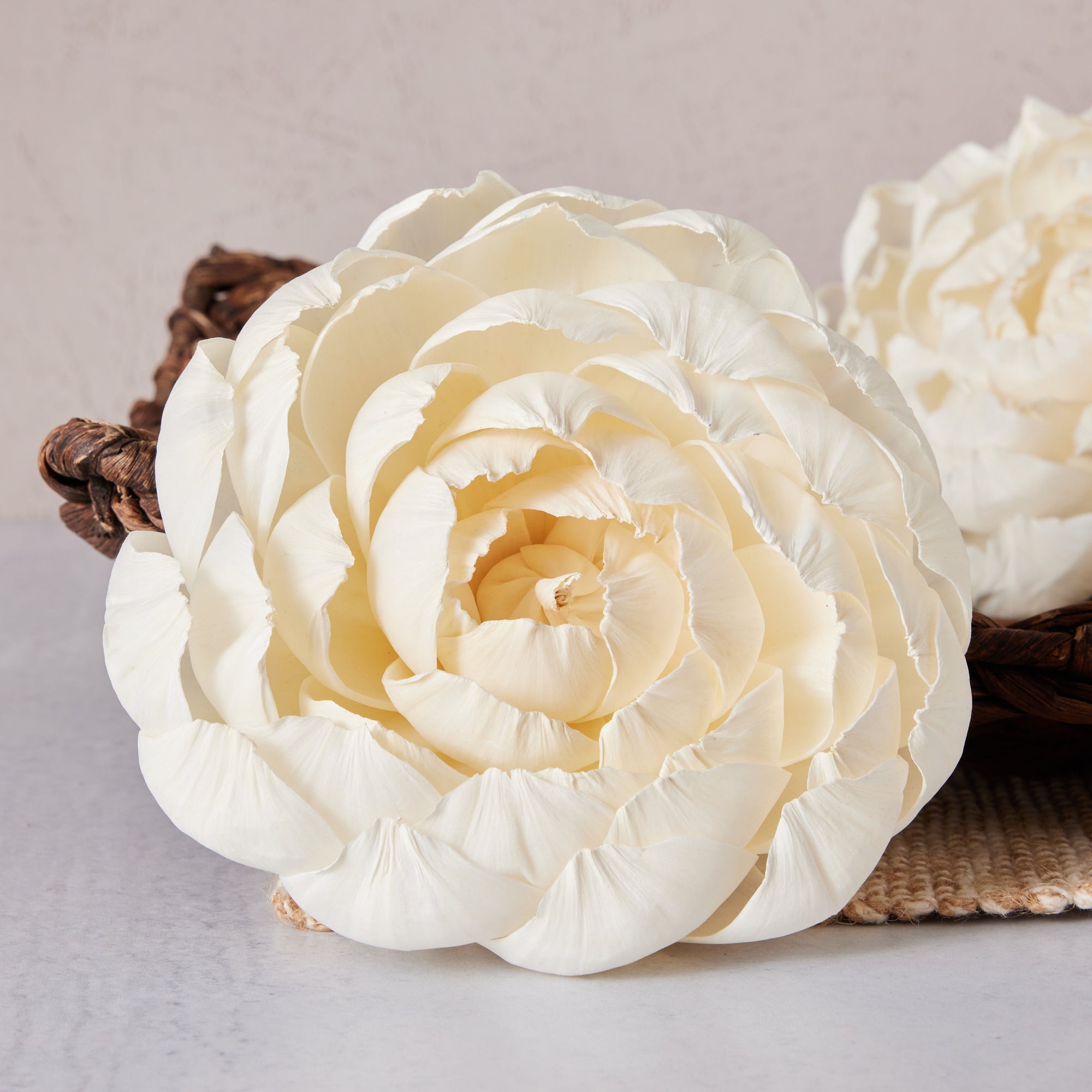 The Duchess's Peony | XL | Set of 3