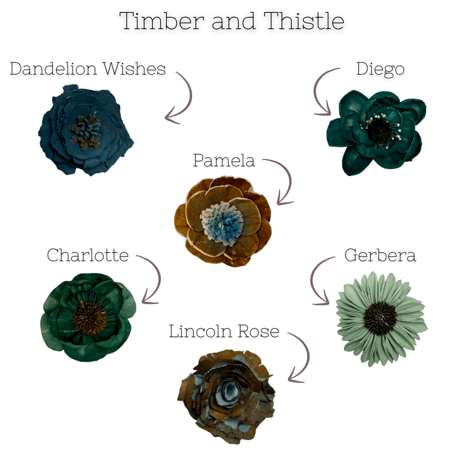 Timber and Thistle - dyed sola wood flower assortment