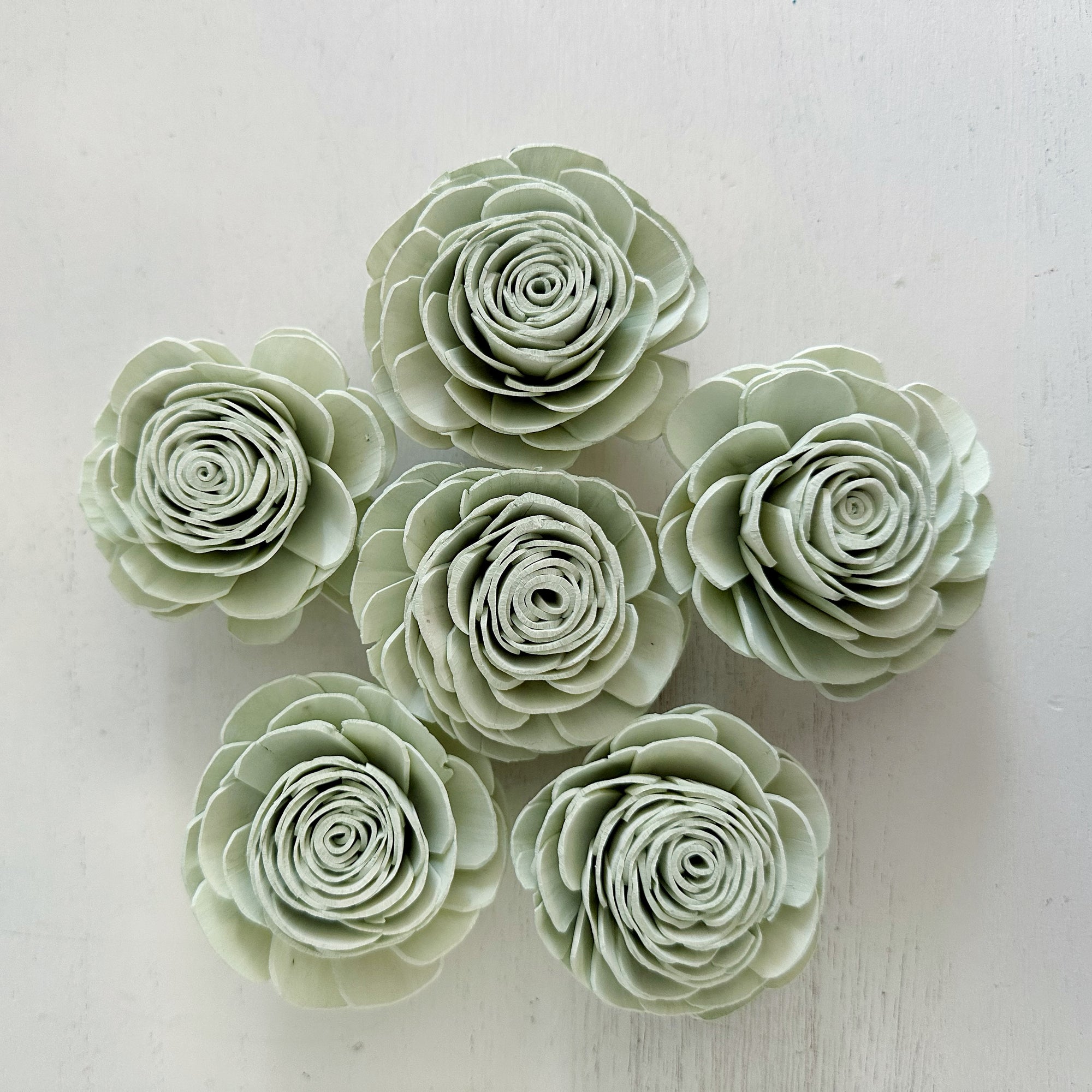 Pre-dyed American Beauty Flower - set of 6 - Light Sage