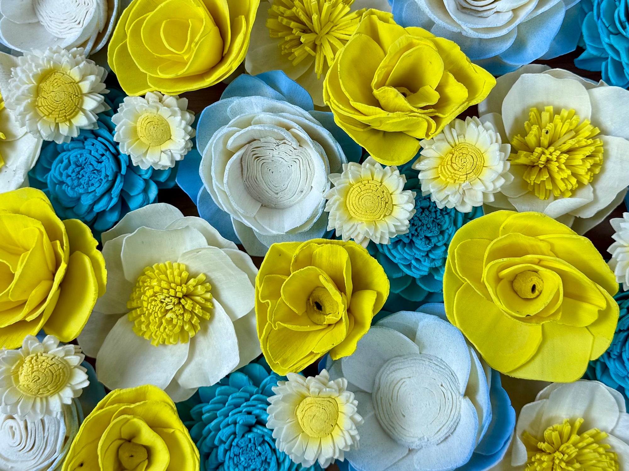 Sunny Skies - dyed sola wood flower assortment