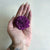 Pre-dyed Marigold Flower - set of 6 - Violet