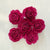 Pre-dyed American Beauty Flower - set of 6 - Vivid Burgundy