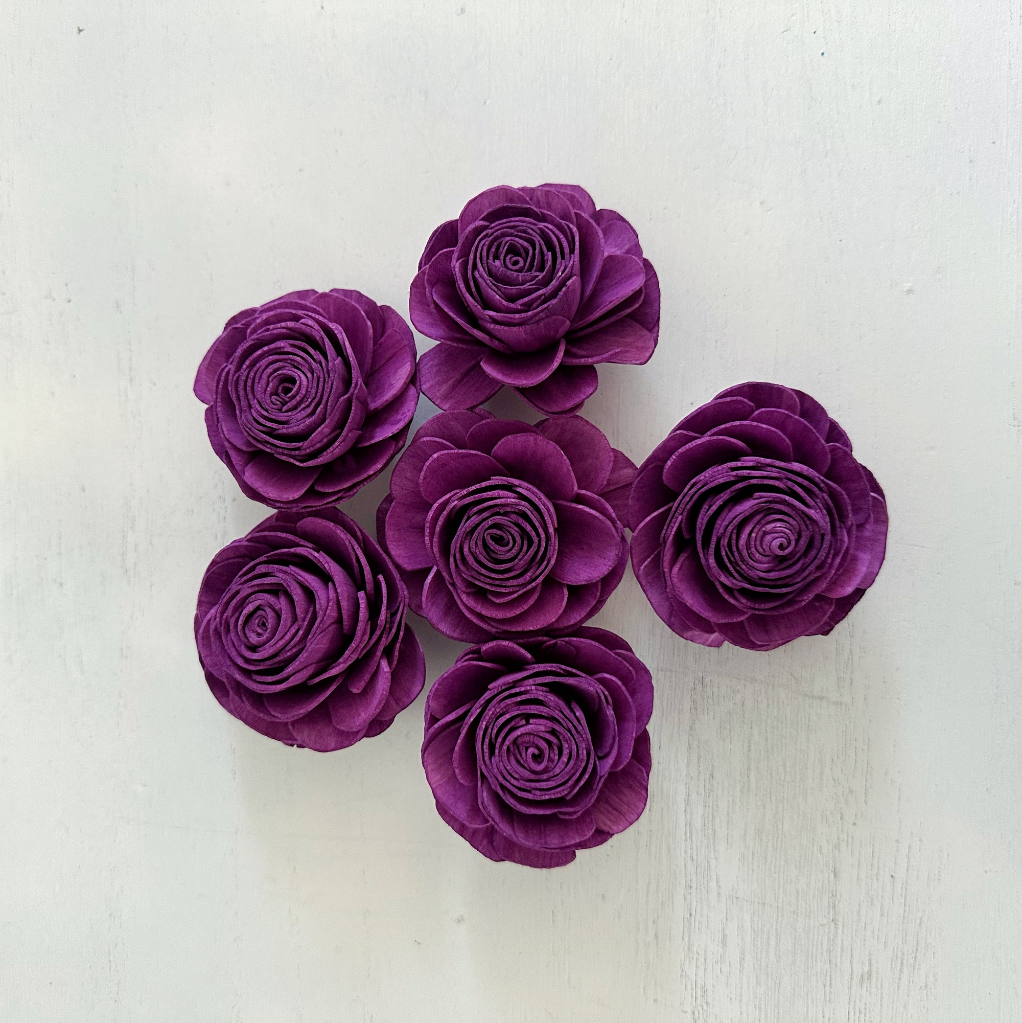 Pre-dyed American Beauty Flower - set of 6 - Violet