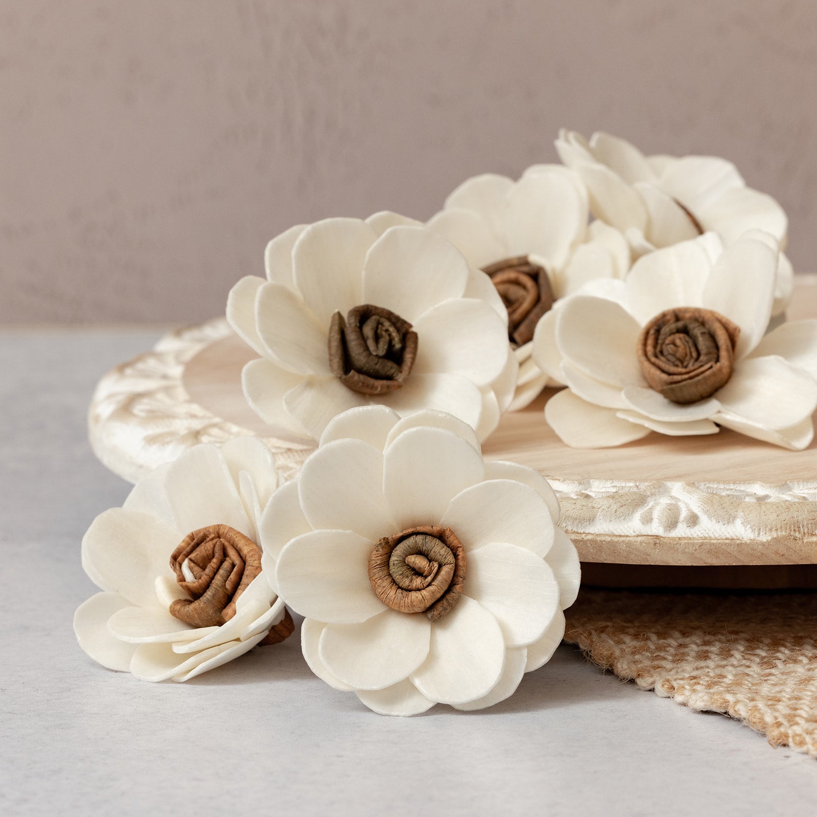 Sensation™- set of 12