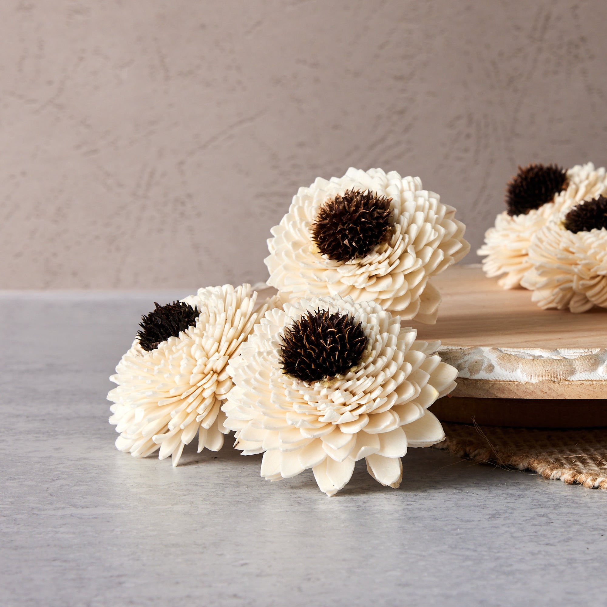 Auntie Sue™ - set of 12 - 2.5 inches