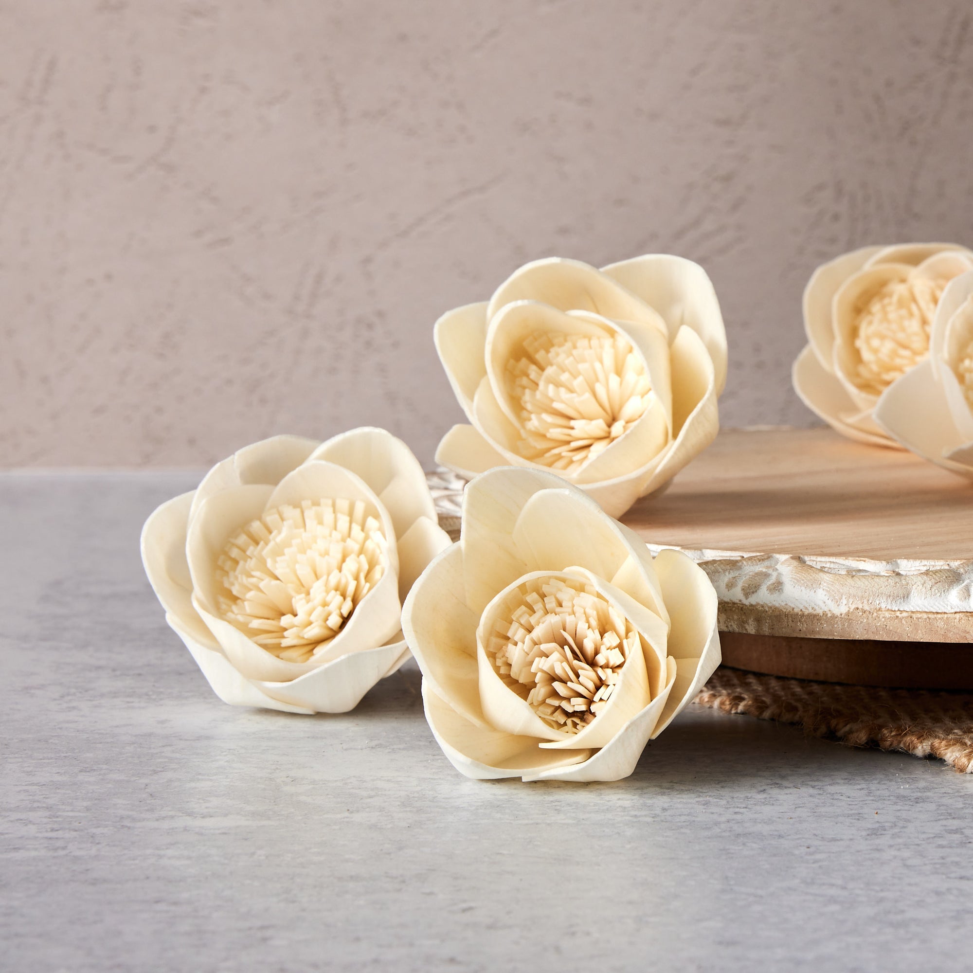 Budding Lotus™ set of 12