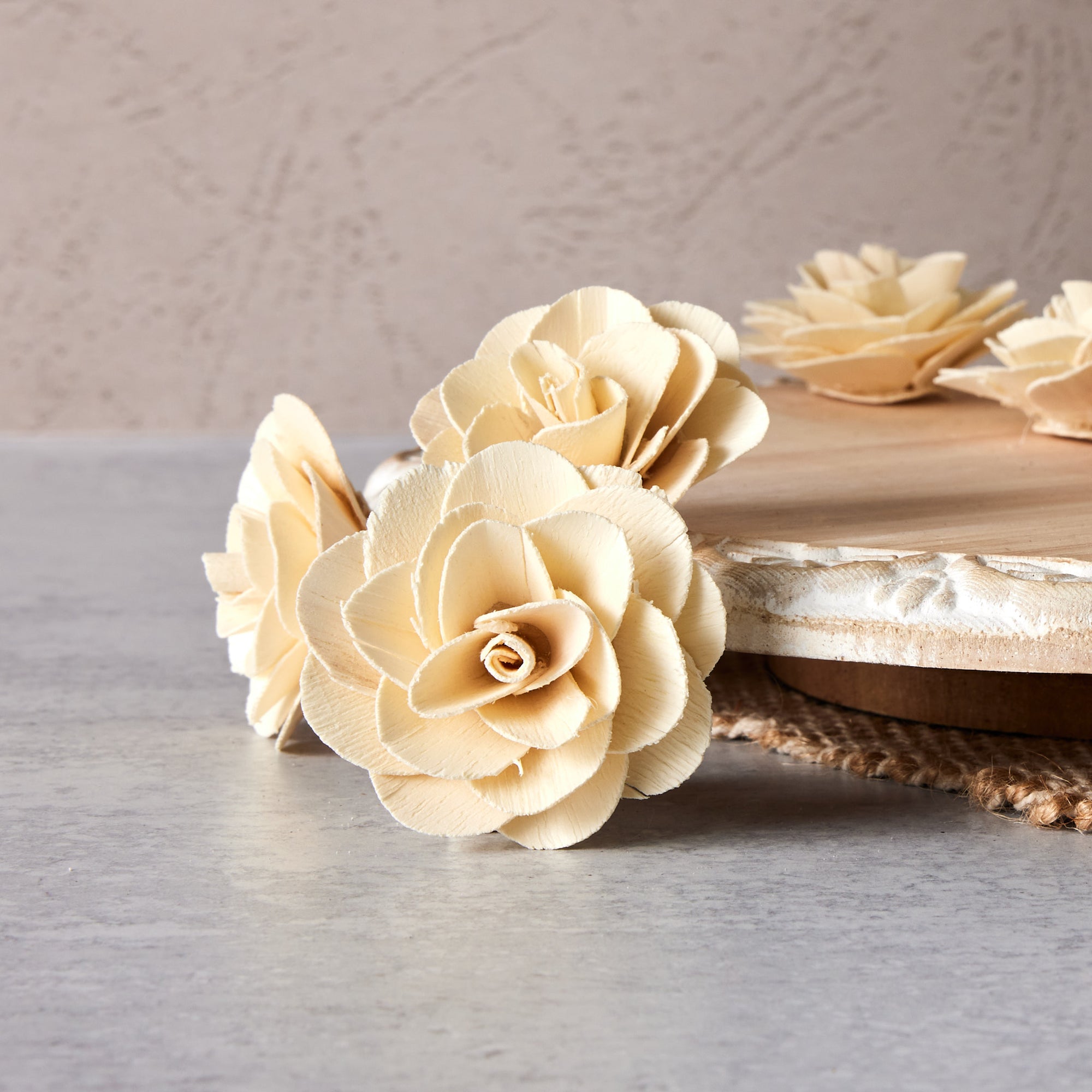 Chip Rose™ Rose  - set of 12-  2.5 inches