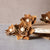 Fauna ™ | set of 12 | 2.5 inches