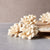 Halo™ Flower  - set of 12- 2.5 inches