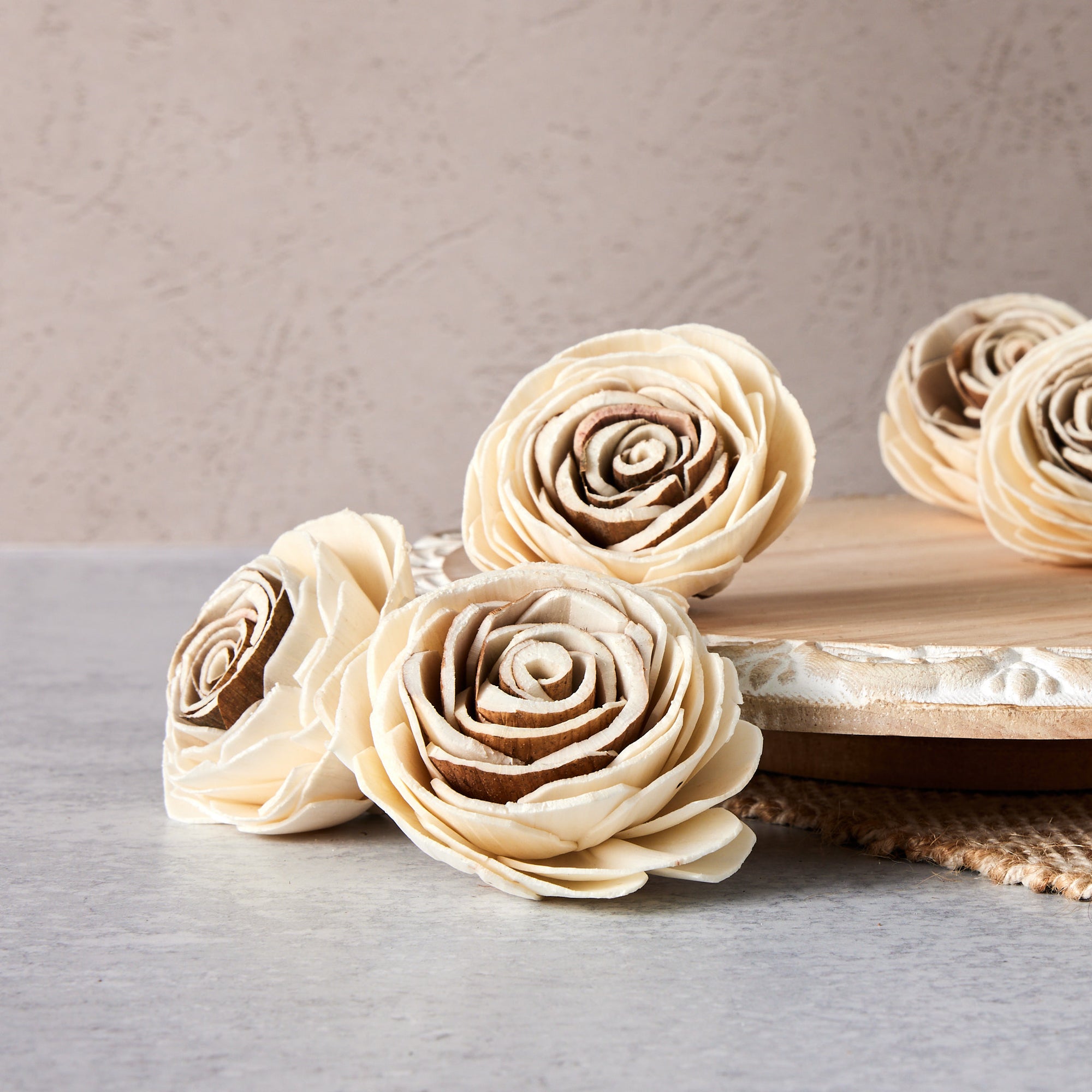 Harvest Rose™- set of 12- 2.5 inches