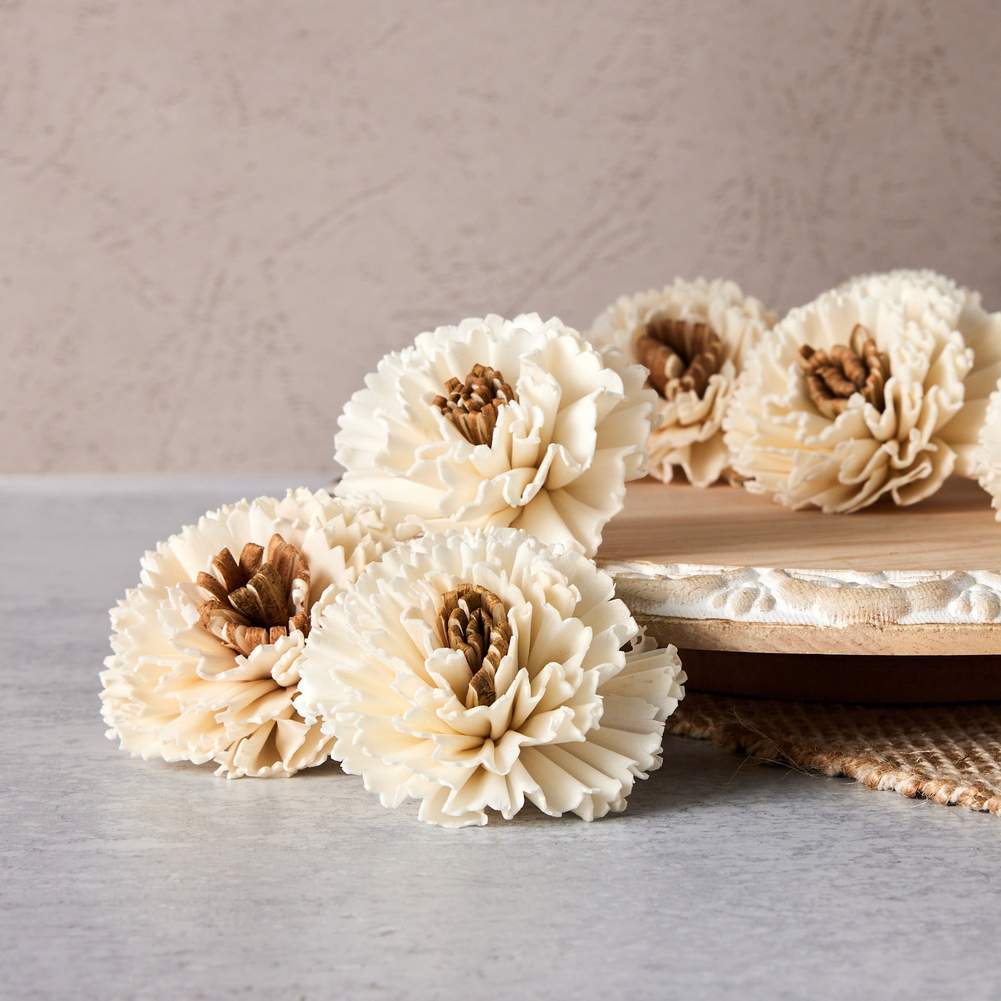 Premium Carnation Sola Flowers - Set of 5 , Sola Flowers, Wood Sola  Flowers, Balsa Wood Flowers, Craft Flowers, sola wood flowers