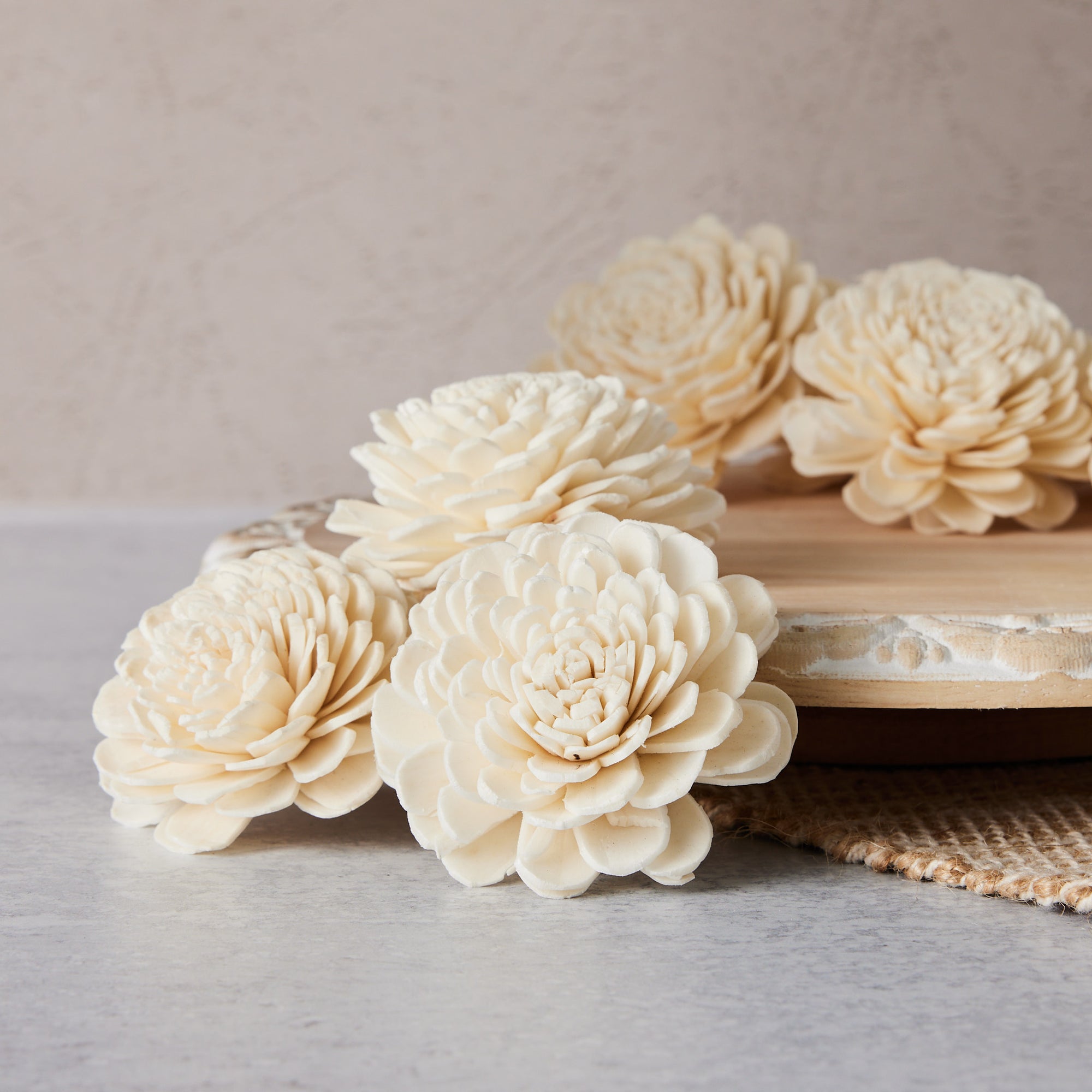 Marigold - set of 12 - 2.5 inches