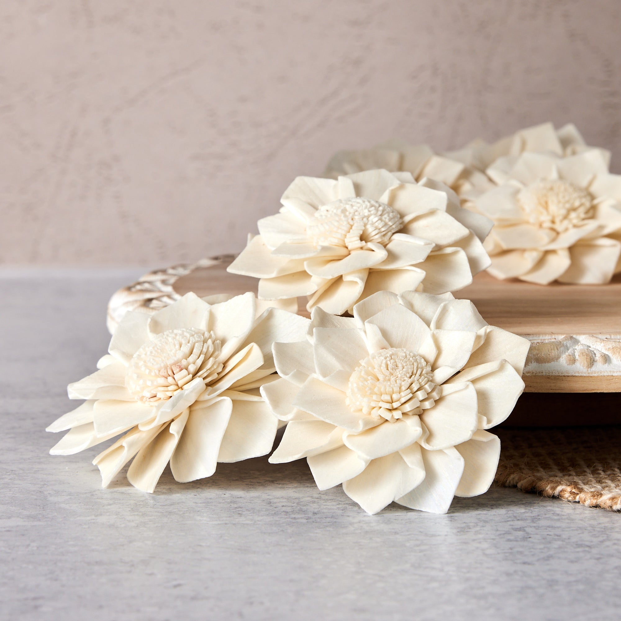 Queen Freya™- set of 12-  2.5 inches