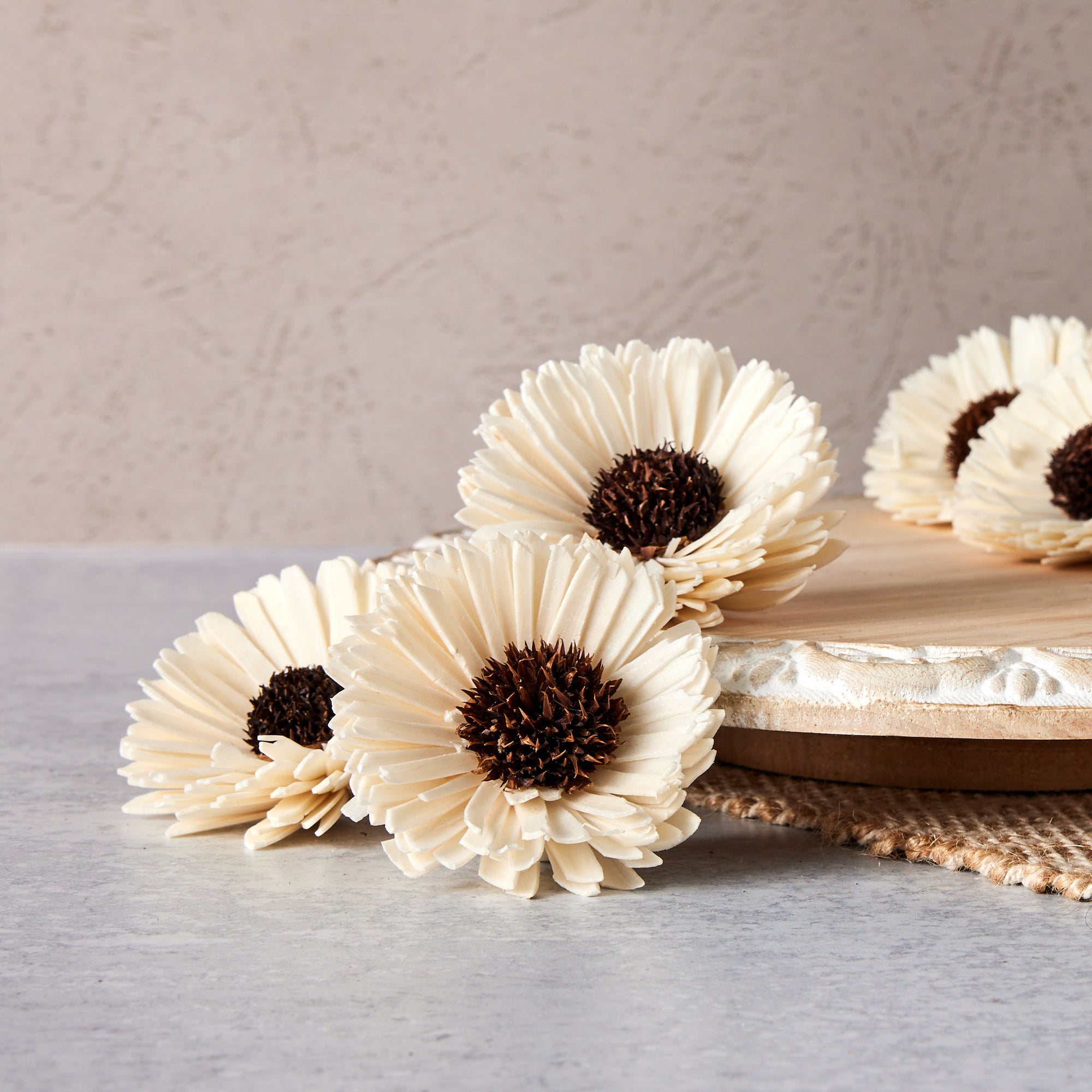 Sunflower - set of 12 - 2.5 inches