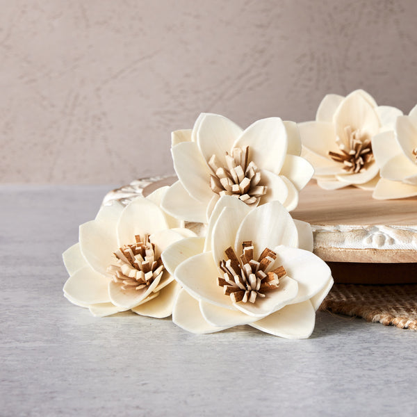 w.o.d.　F.L.O.W.E.R.S. Send The FTD® Wondrous Nature™ Bouquet in Cedar Rapids, IA