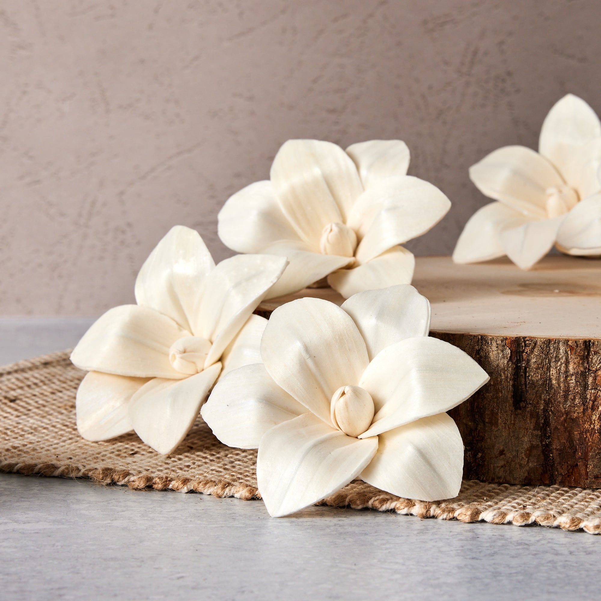 Aloha™ set of 6