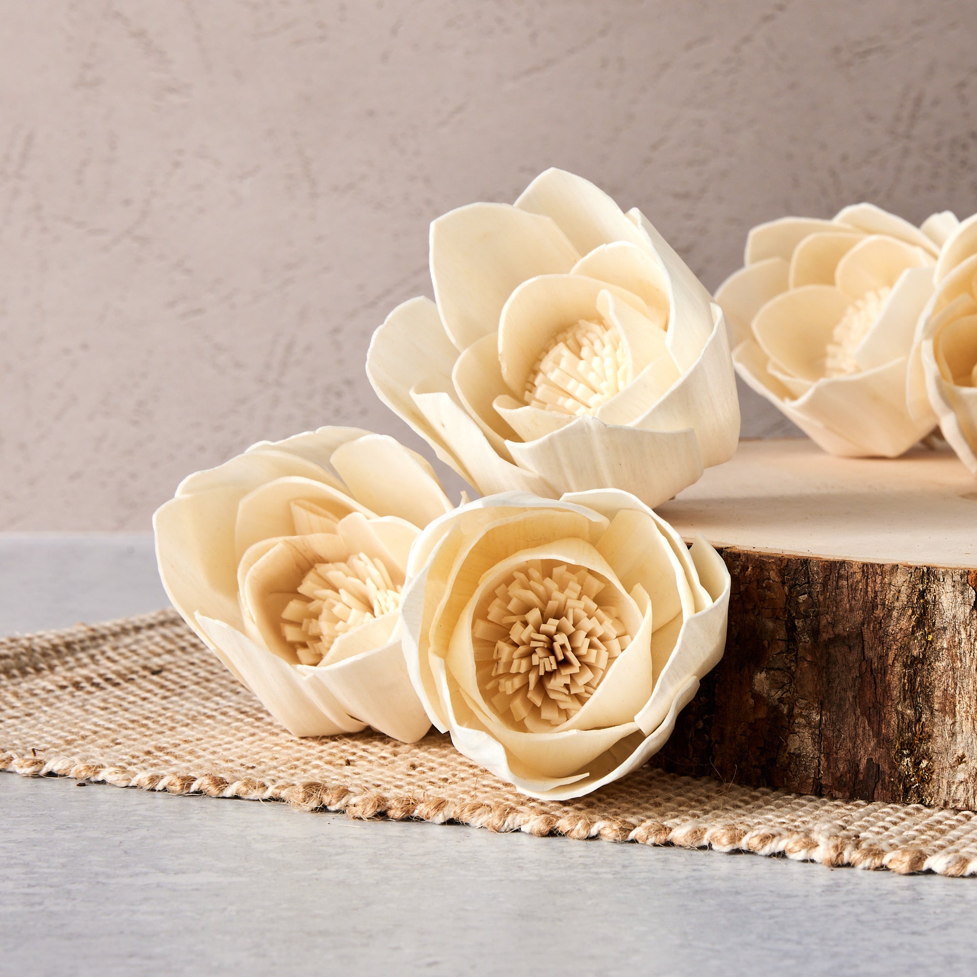 Budding Lotus™ set of 6