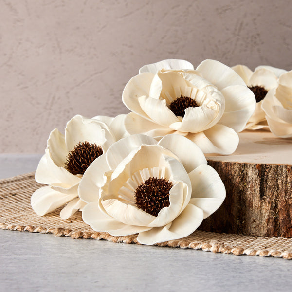 012623_OYSL_3_Charlotte_586_We