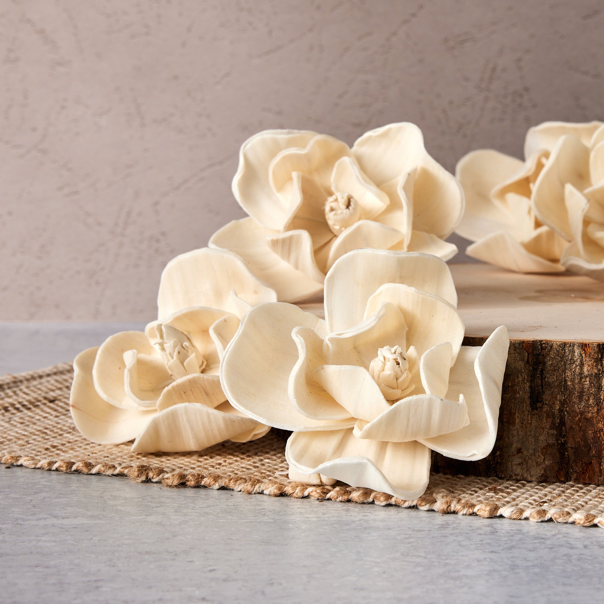 Magnolia Flower  - set of 12 - 3 inches