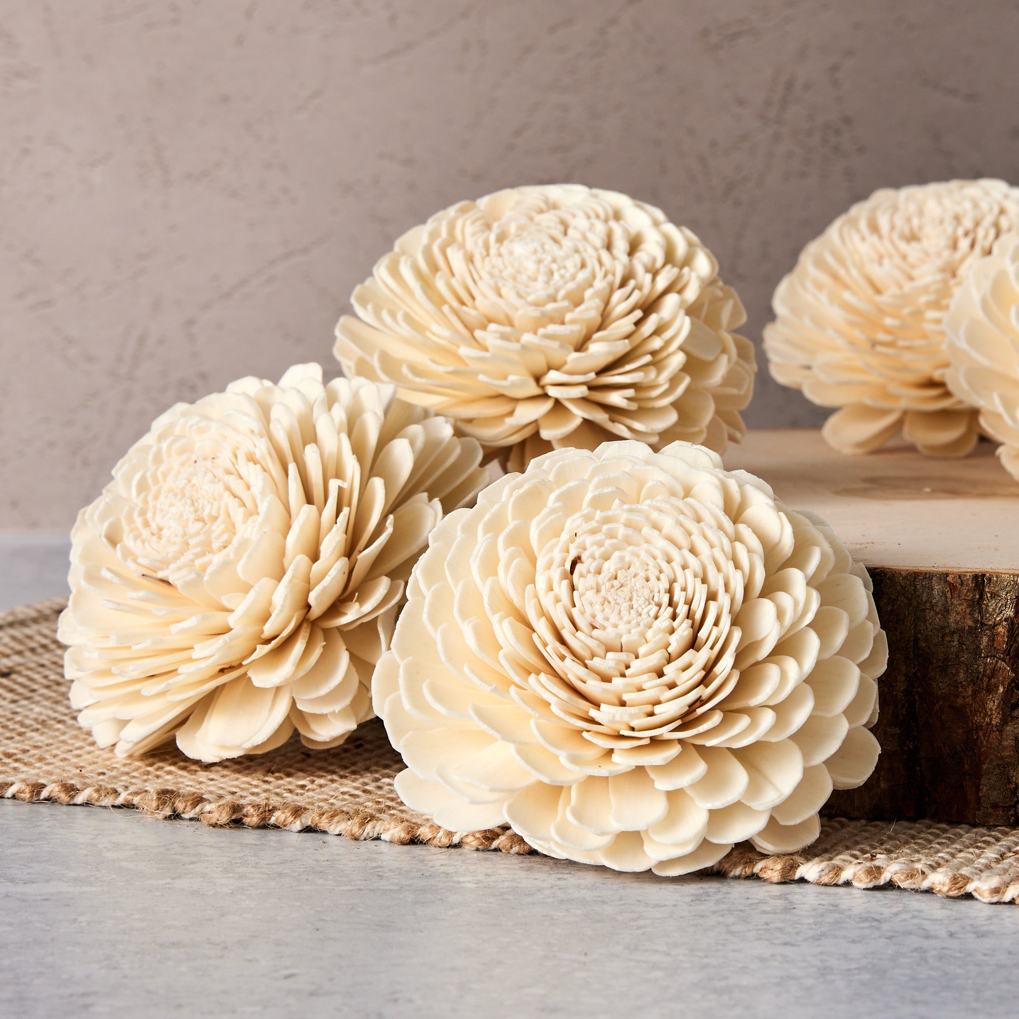 Marigold - set of 12 - 3 inches
