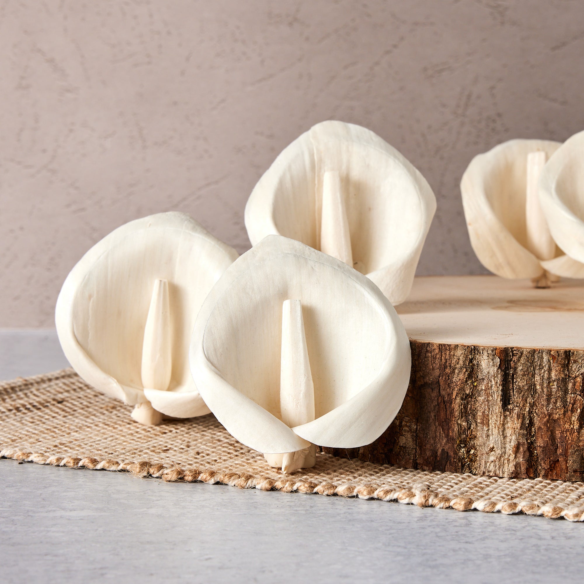 calla lily and peace lily Peace Lily - set of 6