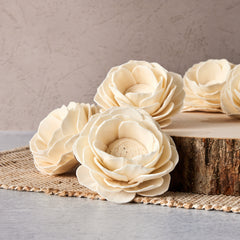 012623_OYSL_3_Poppy_677_WebRes