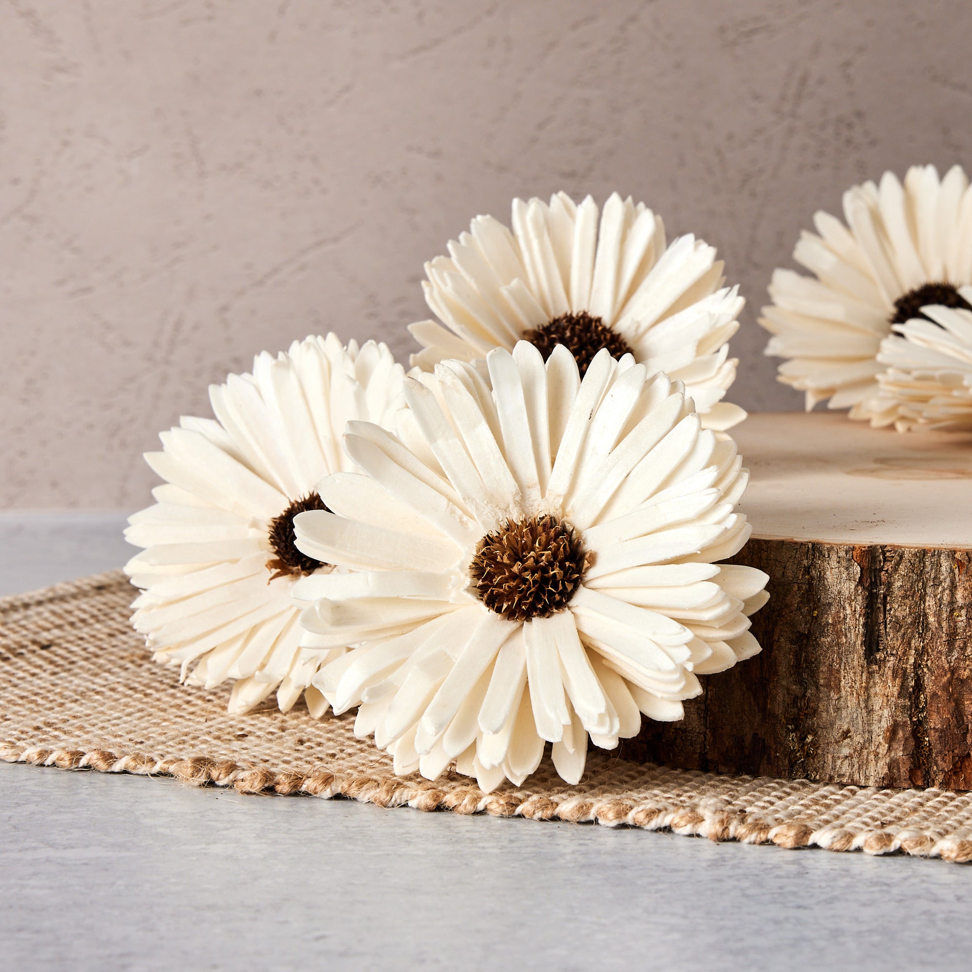 Sunflower - set of 12 - 3 inches