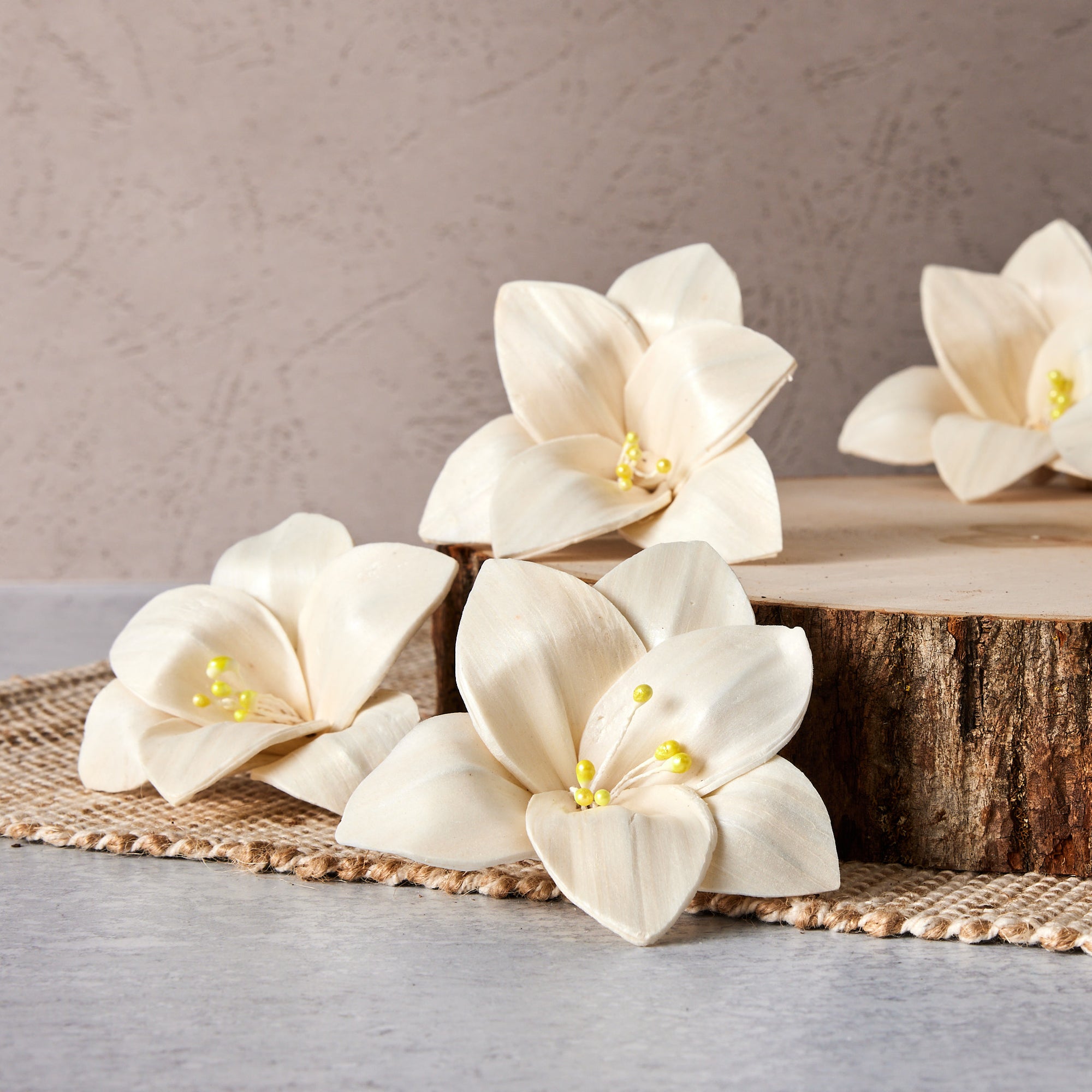 Trillium™ - set of 6 - 3 inches