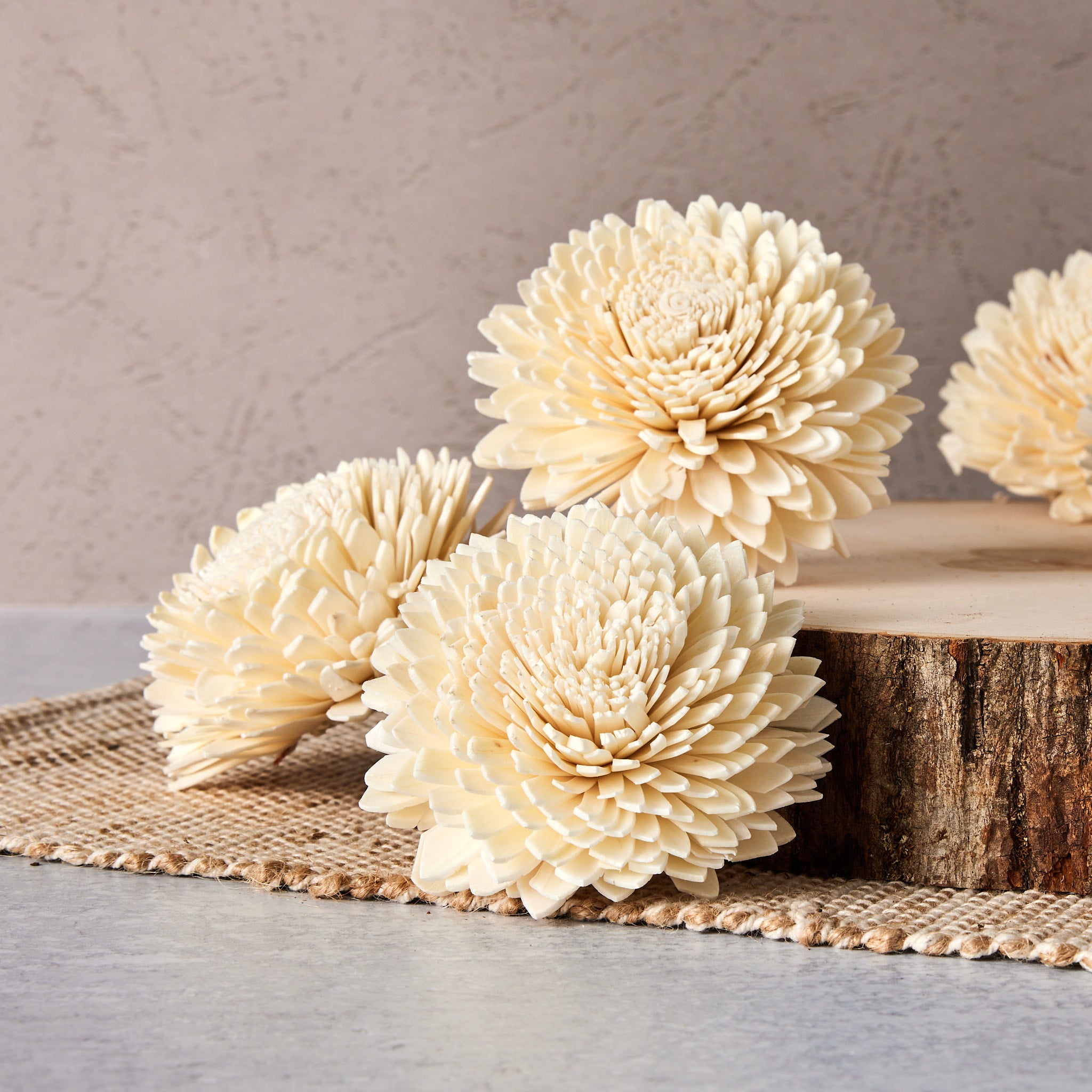 VIZ(ヴィズ)　スツール　unico Zinny - Sold by the dozen - Sola Wood Flowers - Oh! You're