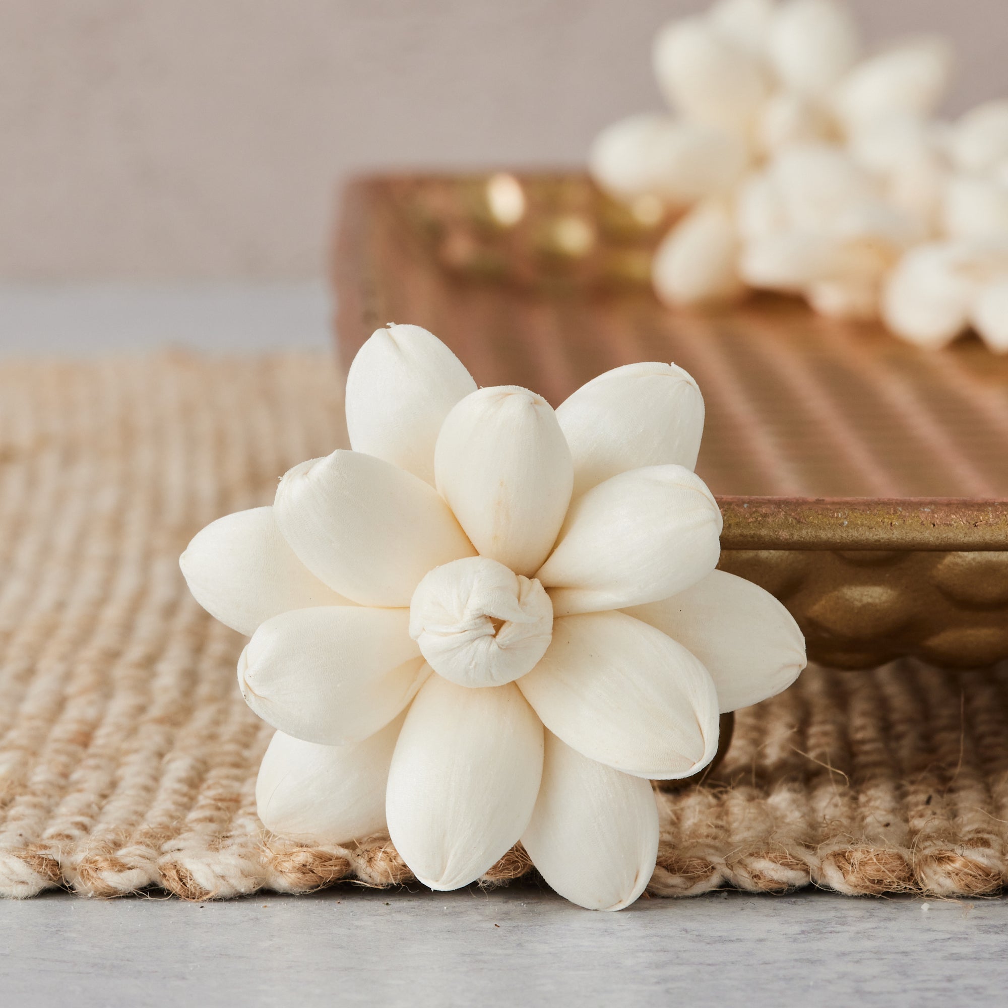 Cherry Blossom - Set of 12