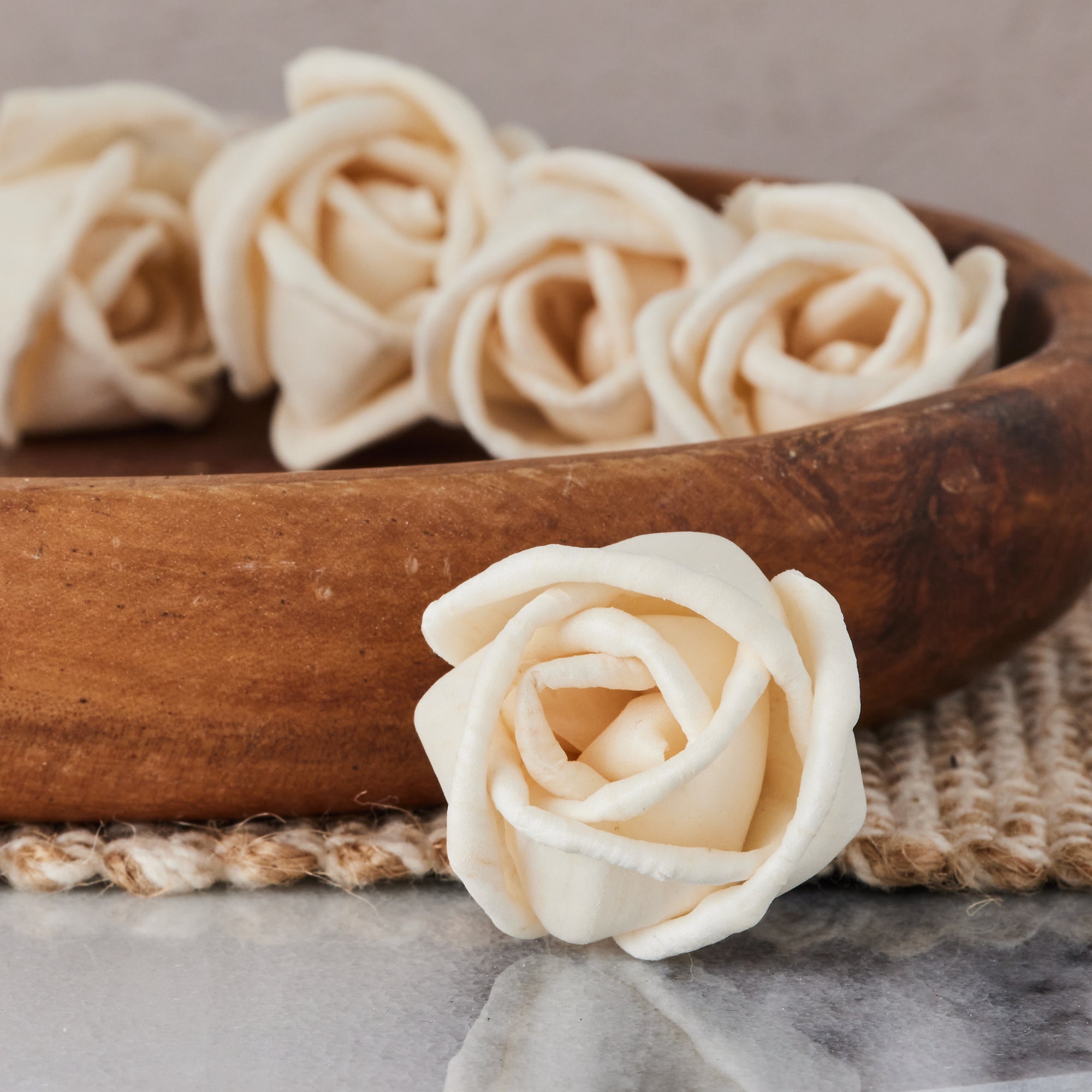 Rosa™ sold by the dozen - 1 inch