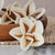 North Star™- set of 12-  2 inches
