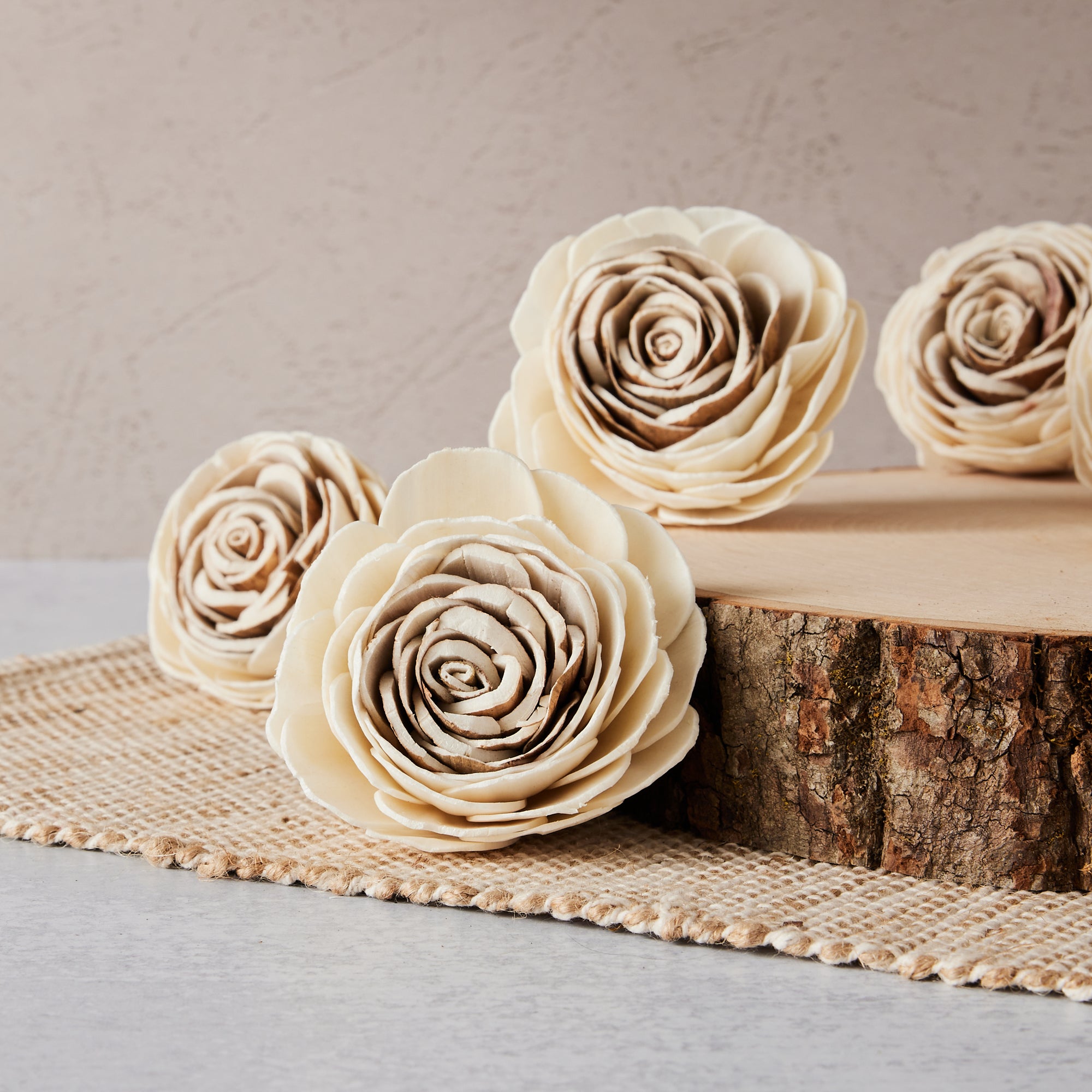 Harvest Rose™- set of 12- 3 inches