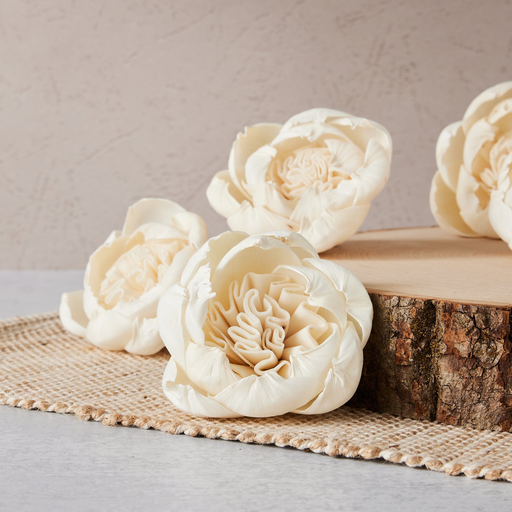 juliet rose seeds price Juliet Rose- wood flower - sets of 12 - Oh! You're Lovely